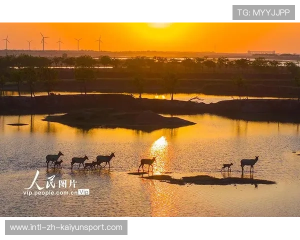 法拉利湿地迷路