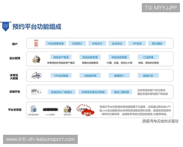 职业体育数据分析对提升场馆运营效率的实证探讨（113 ）